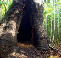 Tewantin National Park - Melbourne Tourism