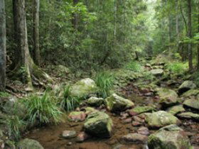 Amamoor QLD Melbourne Tourism