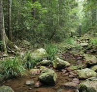 Amamoor State Forest - Melbourne Tourism