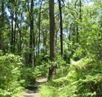 Mapleton Falls National Park - Melbourne Tourism