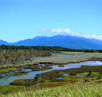 Eubenangee Swamp National Park - Melbourne Tourism