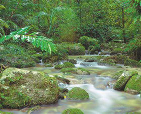 Mossman Gorge, Daintree National Park - Melbourne Tourism 0