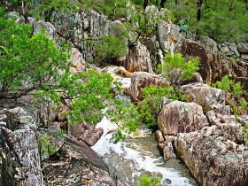 Crows Nest National Park - Melbourne Tourism 0