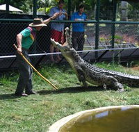 Snakes Downunder Reptile Park and Zoo - Melbourne Tourism