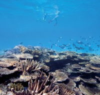 Australian Institute of Marine Science - Melbourne Tourism