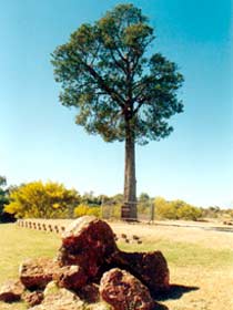Cunnamulla QLD Melbourne Tourism