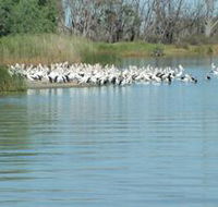 Lake Ross - Melbourne Tourism