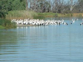 Lake Ross - Melbourne Tourism 0