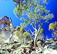 Mount Moffatt Section - Carnarvon National Park - Melbourne Tourism
