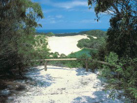 Lake Wabby Track - Melbourne Tourism 0