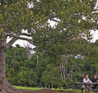 Ravensbourne National Park - Melbourne Tourism
