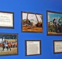 Town Hall Photographic Display - Melbourne Tourism