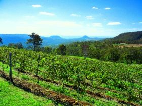 Preston Peak Wines - Melbourne Tourism 0