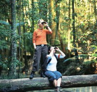 Birdwatching on the Fraser Coast - Melbourne Tourism