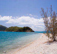 Paddle Bay Track and Campsite - Melbourne Tourism