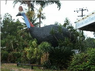 The Big Cassowary - Melbourne Tourism 0
