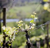 Downing Estate - Melbourne Tourism