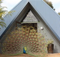 Halls Gap Zoo - Melbourne Tourism