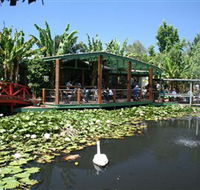 Blue Lotus Water Garden - Melbourne Tourism