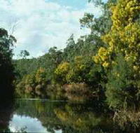 Warrandyte State Park - Melbourne Tourism