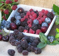 Bright Berry Farms - Melbourne Tourism