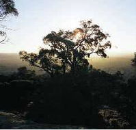 Yarra Flats - Melbourne Tourism