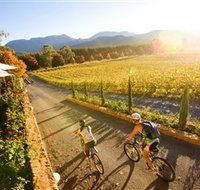 Boyntons Feathertop Winery - Melbourne Tourism