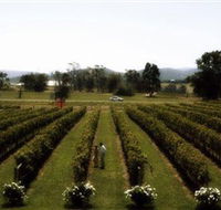 Rochford Wines - Melbourne Tourism
