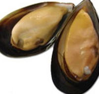 Sea Bounty - Melbourne Tourism