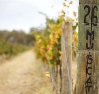 Stanton and Killeen Wines - Melbourne Tourism