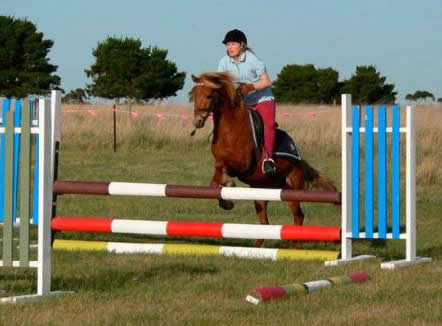 Saddle On Riding School - Melbourne Tourism 5