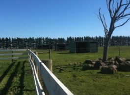 Saddle On Riding School - Melbourne Tourism 6