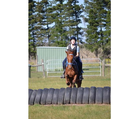 Saddle On Riding School - Melbourne Tourism 9