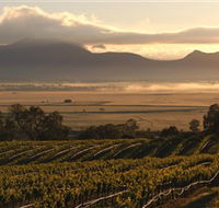 Montara Wines - Melbourne Tourism