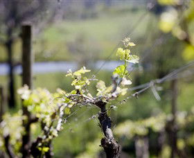 Coldstream Hills - Melbourne Tourism 0