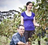 Anderson Winery - Melbourne Tourism