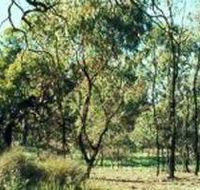 Leaghur State Park - Melbourne Tourism