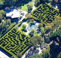 Ashcombe Maze  Lavender Gardens - Melbourne Tourism
