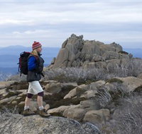 Mount Buffalo National Park - Melbourne Tourism
