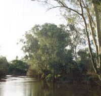 Banksia Park - Melbourne Tourism