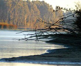 Barmah National Park - Melbourne Tourism 0