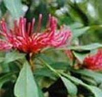 Alfred National Park - Melbourne Tourism