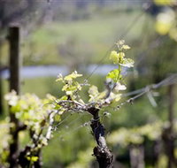 Kyneton Ridge Estate - Melbourne Tourism