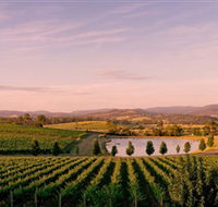 Oakridge Wines - Melbourne Tourism