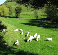 Goats of Gaia Soap - Melbourne Tourism