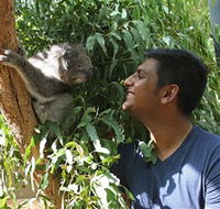Healesville Sanctuary - Melbourne Tourism