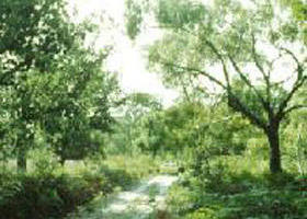 Rosedale VIC Melbourne Tourism