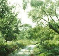 Holey Plains State Park - Melbourne Tourism