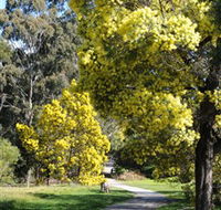 Wattle Park - Melbourne Tourism