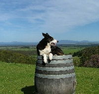 Windy Ridge Vineyard and Winery - Melbourne Tourism
